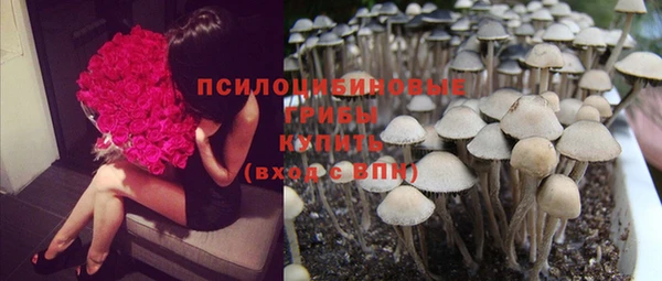 не бодяженный Армянск