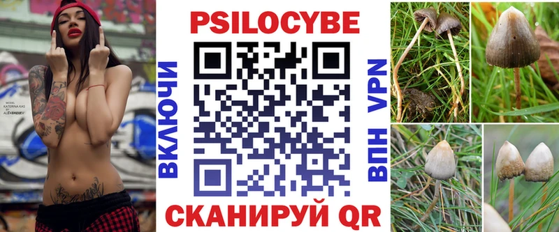 Псилоцибиновые грибы Psilocybe мориарти телеграм Яровое